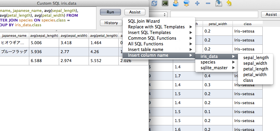 Assist menu for custom SQL